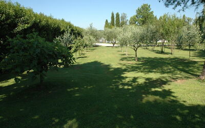 Atena