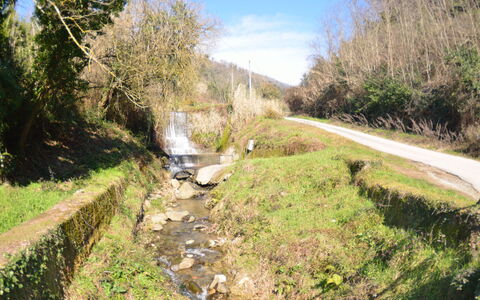 Casa Milena: Waterway, Paesaggio Naturale, Strada, Risorse Idriche, Fenomeno Geologico, Canale, Albero, Alveo, Strada Transitabile