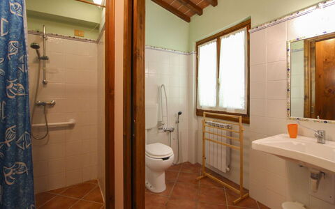 Villa le Balze: Idraulico Fixture, Pavimentazione, Legna, Lavandino Del Bagno, Pavimento, Lavello, Interior Design, Bagno, Soffitto, Rubinetto