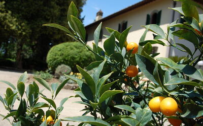 Casa Anna