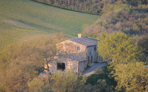 Podere Palazzo: Area Rurale, Collina, Albero, Cielo, Fotografia Aerea, Fotografia, Architettura, Paesaggio, Casa, Costruzione