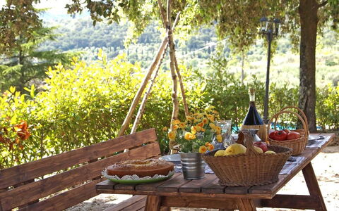Villa Gelsomino: Tavolo, Mobilia, Backyard, Picnic, Camera, Albero, Paesaggio, Tavolo Esterno, Mobili Da Esterno, Pasto