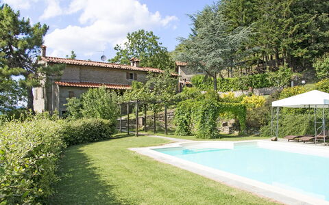 Villa Magnolia: Proprietà, Casa, Costruzione, Immobiliare, Piscina, Casa, Erba, Backyard, Villa, Cortile