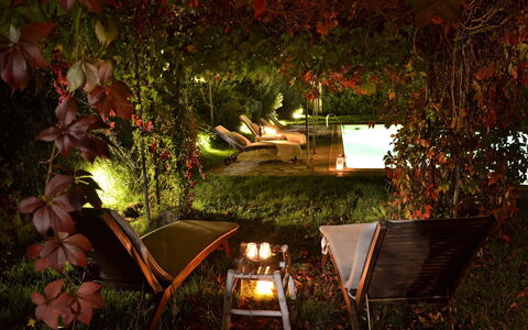 Villa Magnolia: Lighting, Light, Night, Tree, Landscape Lighting, Leaf, Sky, Plant, Home, House