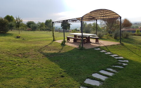 Villa Anita: Erba, Lotto, Pascolo, Area Rurale, Prato, Azienda Agricola, Cortile, Backyard, Giardino, Shade