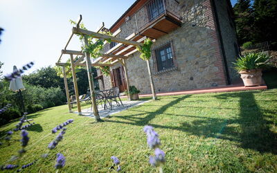 Outdoor view