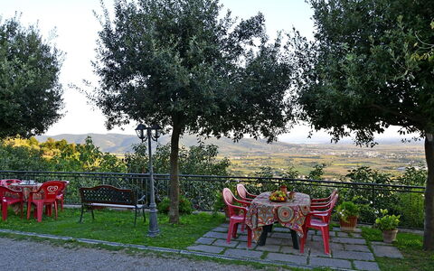 Appartamento Luna: Albero, Tempo Libero, Botanica, Woody Impianto, Erba, Primavera, Area Rurale, Mobilia, Giardino, Estate