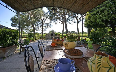 Casa i Pini: Proprietà, Immobiliare, Casa, Casa, Costruzione, Terrazza, Portico, Camera, Estate, Cortile