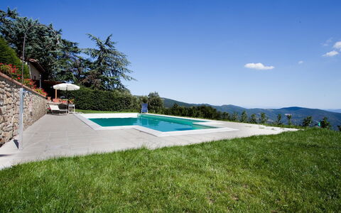 Casa Cristina: Proprietà, Piscina, Immobiliare, Casa, Zona Residenziale, Casa, Erba, Estate, Lotto, Costruzione