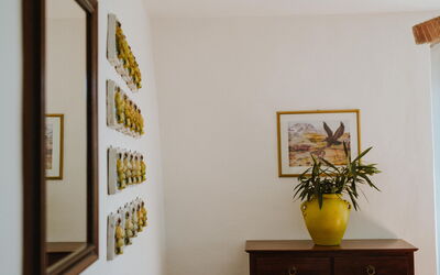 agriturismo-la-papessa-chianti-san-donato-multiproprietà-gardenia-quadro