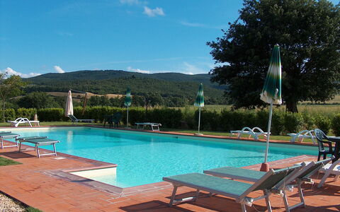 Bazzani Apartments In Siena: Acqua, Cielo, Pianta, Proprietà, Mobilia, Piscina, Nube, Azzurro, Lettino, Albero