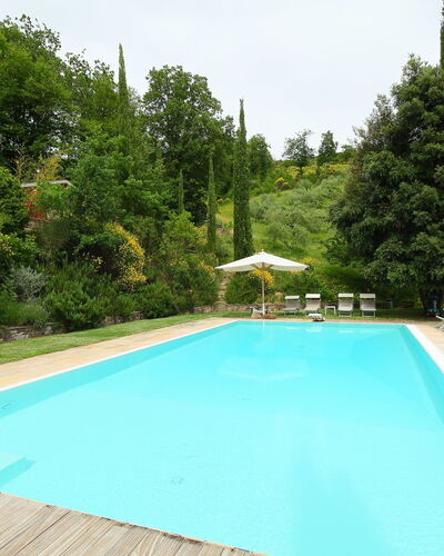 Paradiso: Swimming Pool, Property, Leisure, Real Estate, House, Vacation, Grass, Tree, Estate, Resort