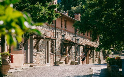 Fattoria Fronzano: Cielo, Proprietà, Pianta, Costruzione, Azzurro, Manto Stradale, Albero, Shade, Montagna, Area Rurale