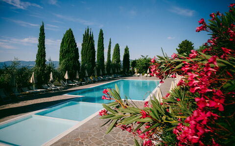 Fattoria Fronzano: Acqua, Fiore, Cielo, Nube, Pianta, Proprietà, Piscina, Albero, Paesaggio Naturale, Arecales