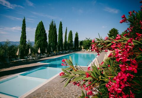 Fattoria Fronzano: Water, Flower, Sky, Cloud, Plant, Property, Swimming Pool, Tree, Natural Landscape, Arecales