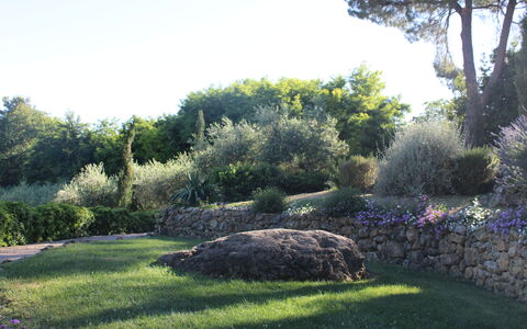 Gli Appartamenti Di Manuela: Erba, Foglia, Vegetazione, Arbusto, Giardino, Roccia, Comunita 'Impianto, Paesaggio, Groundcover