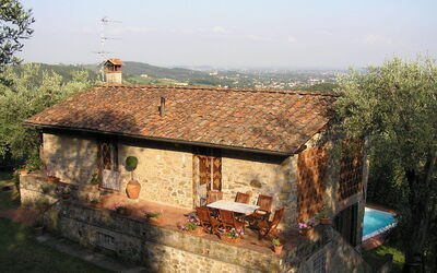 top view