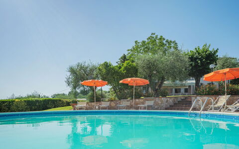 Villa le Casette: Water, Plant, Sky, Swimming Pool, Umbrella, Azure, Tree, Outdoor Furniture, Chair, Leisure