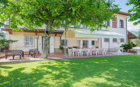 Villa le Casette: Plant, Building, Furniture, Window, Tree, House, Outdoor Bench, Land Lot, Grass, Shade