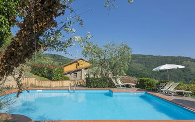 Pescia 825: Water, Plant, Sky, Property, Swimming Pool, Azure, Shade, Tree, Residential Area, Composite Material