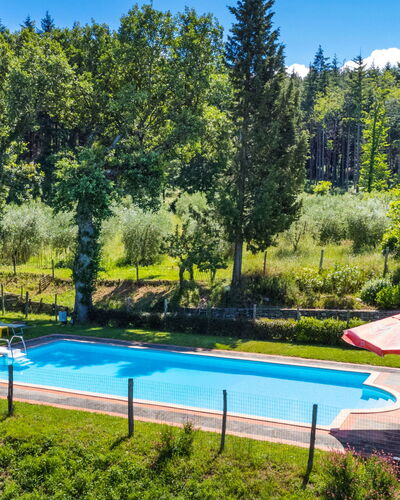 Pontassieve 810: Plant, Water, Property, Swimming Pool, Botany, Sky, Nature, Tree, Shade, Body Of Water
