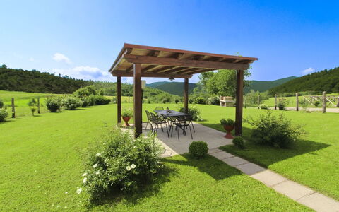 Poggio del Fabbro: Erba, Pascolo, Giardino, Collina, Lotto, Plain, Prato, Padiglione, Groundcover