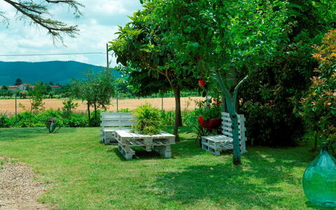 Podere i Gigli: Pianta, Cielo, Verde, Comunita 'Impianto, Nube, Albero, Panchina, Paesaggio Naturale, Lotto, Erba