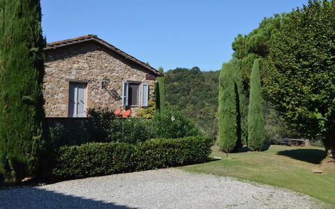 Compignano Barn: Proprietà, Casa, Casa, Albero, Erba, Arbusto, Costruzione, Immobiliare, Giardino, Hedge