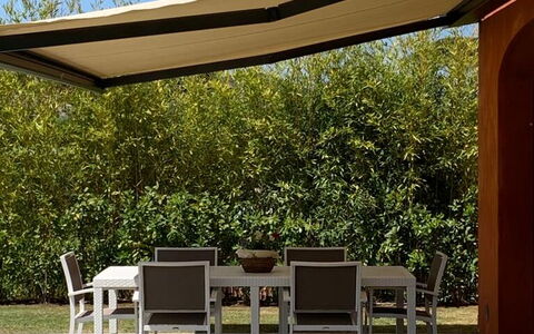 Uva: Pianta, Mobilia, Cielo, Comunita 'Impianto, Tavolo, Shade, Tavolo Esterno, Mobili Da Esterno, Sedia, Albero