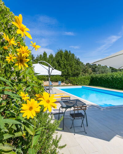 Trequanda 810: Flower, Plant, Water, Sky, Daytime, Cloud, Swimming Pool, Nature, Outdoor Furniture, Shade