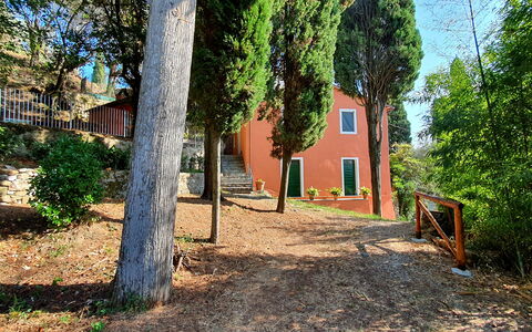 Collina Lagomare: Plant, Window, Building, Tree, Branch, Wood, Land Lot, Sunlight, House, Road Surface