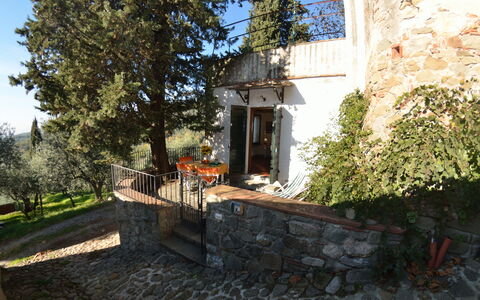 La Cipressa: Proprietà, Casa, Costruzione, Villetta, Immobiliare, Albero, Estate, Architettura, Casa, Villa