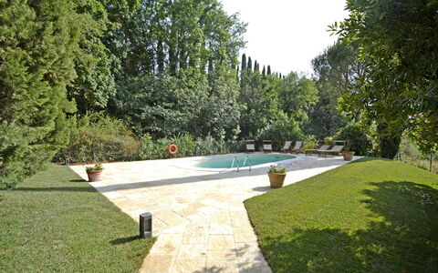 Villa Del Castagno: Proprietà, Piscina, Erba, Giardino, Casa, Estate, Albero, Prato, Cortile, Immobiliare