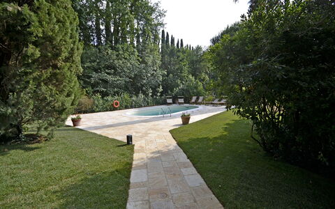 Villa Del Castagno: Erba, Proprietà, Prato, Giardino, Cortile, Backyard, Landscaping, Arbusto, Paesaggio, Albero