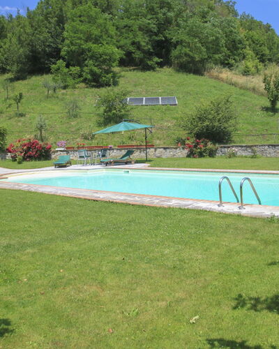 Tara: Swimming Pool, Property, Grass, Natural Landscape, Leisure, Water, Lawn, Land Lot, House, Real Estate