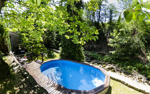 Il Molino: Pianta, Acqua, Comunita 'Impianto, Natura, Botanica, Paesaggio Naturale, Albero, Vegetazione, Alveo, Shade