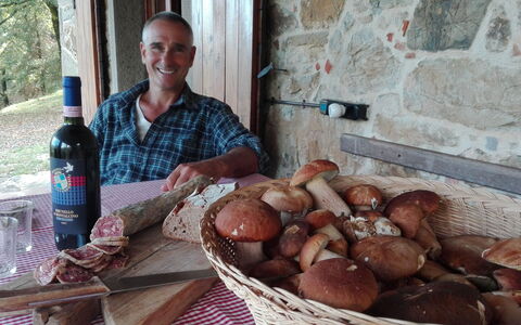 Vignoli: Cibo, Ingrediente, Cucina, Piatto