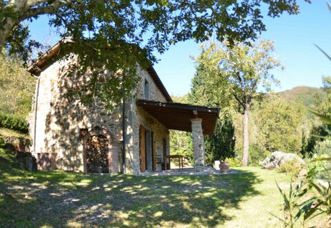 Vignoli: Proprietà, Casa, Costruzione, Villetta, Casa, Area Rurale, Albero, Immobiliare, Agriturismo, Paesaggio