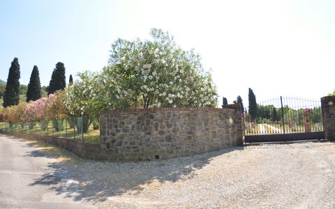 Villa Il Borghetto: Parete, Albero, Lotto, Fotografia, Muro ​​Di Pietra, Storia, Paesaggio, Sito Storico, Turismo, Costruzione