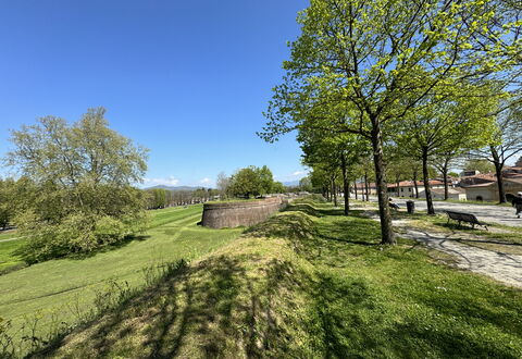 Alle Mura: Albero, Erba, Ramo, Pascolo, Plain, Lotto, Groundcover, Prato, Giardino, Prato