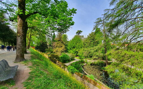 Casina Bella Di Lucca: Foglia, Vegetazione, Arbusto, Groundcover, Giardino, Woody Impianto, Trail, Passerella, Giardino Botanico, Woodland