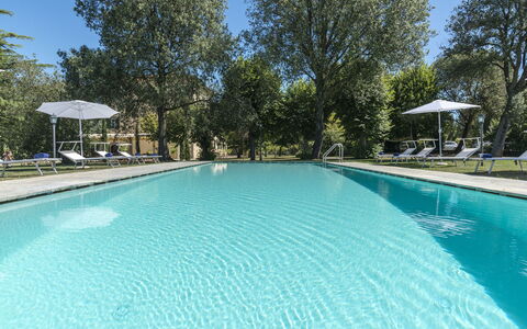 Villa Ivana - Cortona: Piscina, Proprietà, Immobiliare, Tempo Libero, Casa, Costruzione, Estate, Ricorrere, Casa, Albero