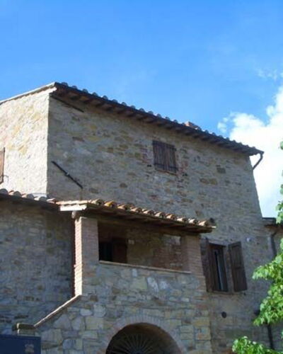 Spiga Di Grano