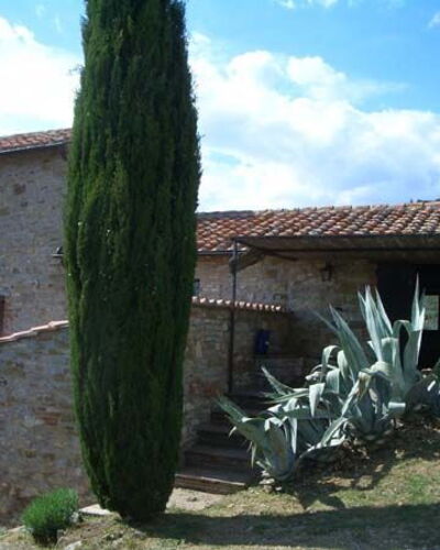 La Ginestra