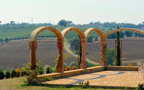 Luna Di Cortona: Arco, Architettura, Albero, Erba, Ponte, Lotto, Paesaggio, Arch Bridge, Pianta, Strada