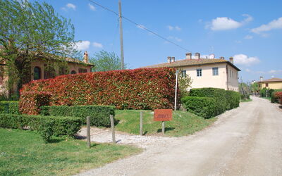 agriturismo-cabbiavoli-chianti-multiproprieta-casa-marcello-pesco-esterno