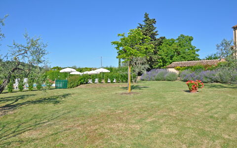 I Glicini: Property, Land Lot, Grass, Real Estate, Grassland, Tree, House, Grass Family, Lawn, Yard