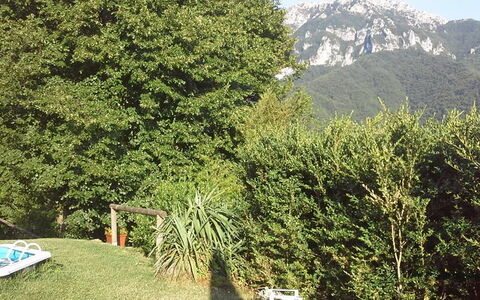 Emilia: Pianta, Montagna, Paesaggio Naturale, Albero, Vegetazione, Biome, Sempreverde, Erba, Woody Impianto, Groundcover