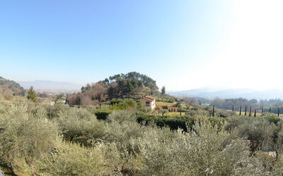 Villa Vaniglia