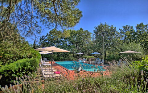 Sole Nel Prato: Proprietà, Immobiliare, Albero, Riserva Naturale, Cielo, Botanica, Casa, Piscina, Tempo Libero, Giardino